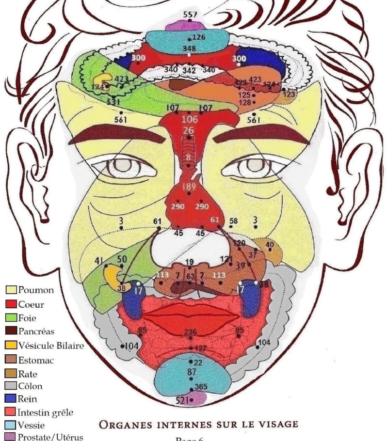 Les organes internes sur le visage Dien Chan